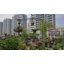 Arche de jardin en métal 114,2 po H-113888431