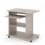 Rawald Computer Desk-2082366160