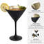 2 Piece 237ml Martini Glass Set