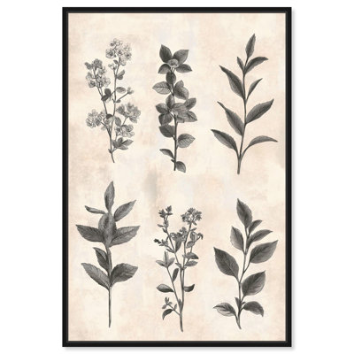 Art floral rétro sur toile, sépia