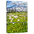 Alvord Mount Rainier Meadow-108662805