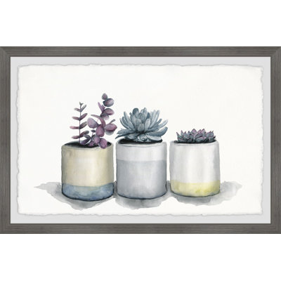 " Three Potted Succulents " Watercolor Painting