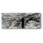 «Story From Light and Shadow», toile tendue-2108724277