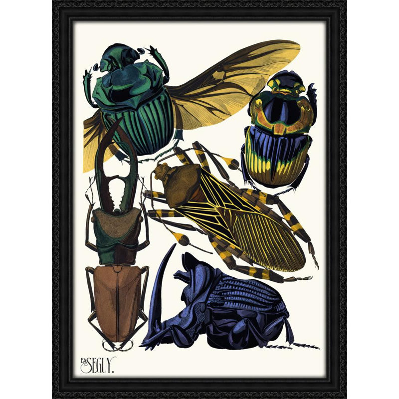 Insectes Pl.07 (1929)
