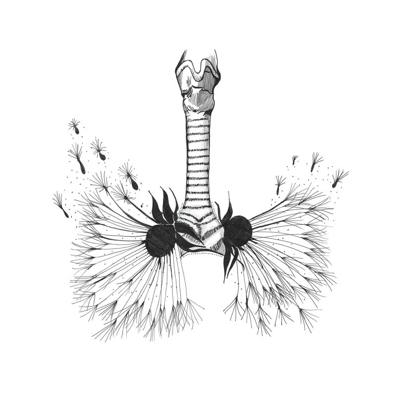 Lungs Anatomy Print, Respiratory Therapy, Pulmonologist by Aged Pixel - Wrapped Canvas Print