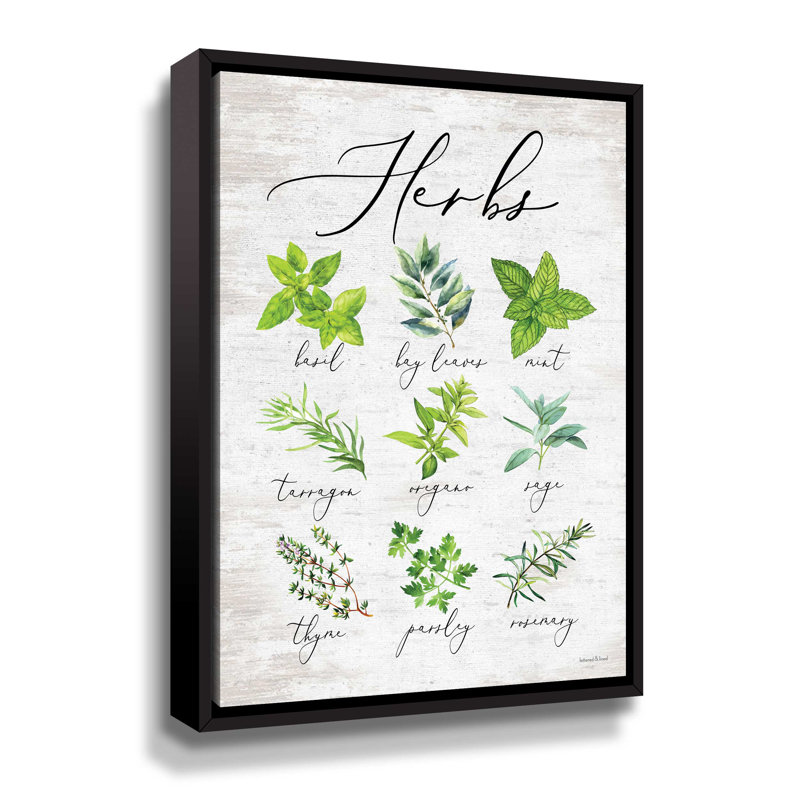 «Herbs» par Lettered & Lined - Impression sur toile, Toile avec cadre noir, H 24 po x l 18 po x P 2 po