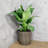 2-Pack Self-watering Wicker Decor Planter