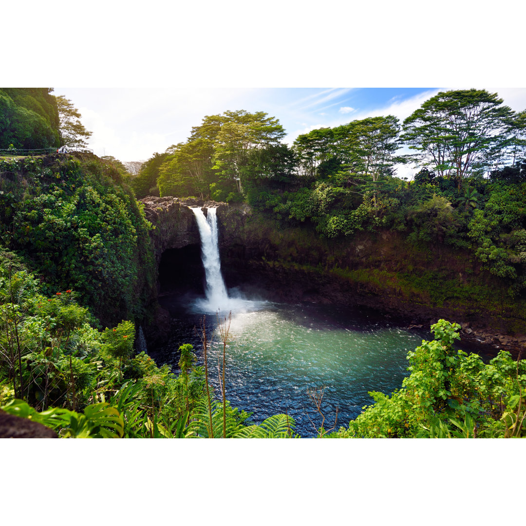 Leinwandbild Majesitc Rainbow Falls Waterfall in Hilo, Wailuku River State Park, Hawaii