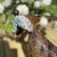 40cm Solar Powered Integrated LED Lawn Ornament