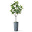 Arbre artificiel dans un pot à fleurs texturé blanc minimaliste moderne-104351677