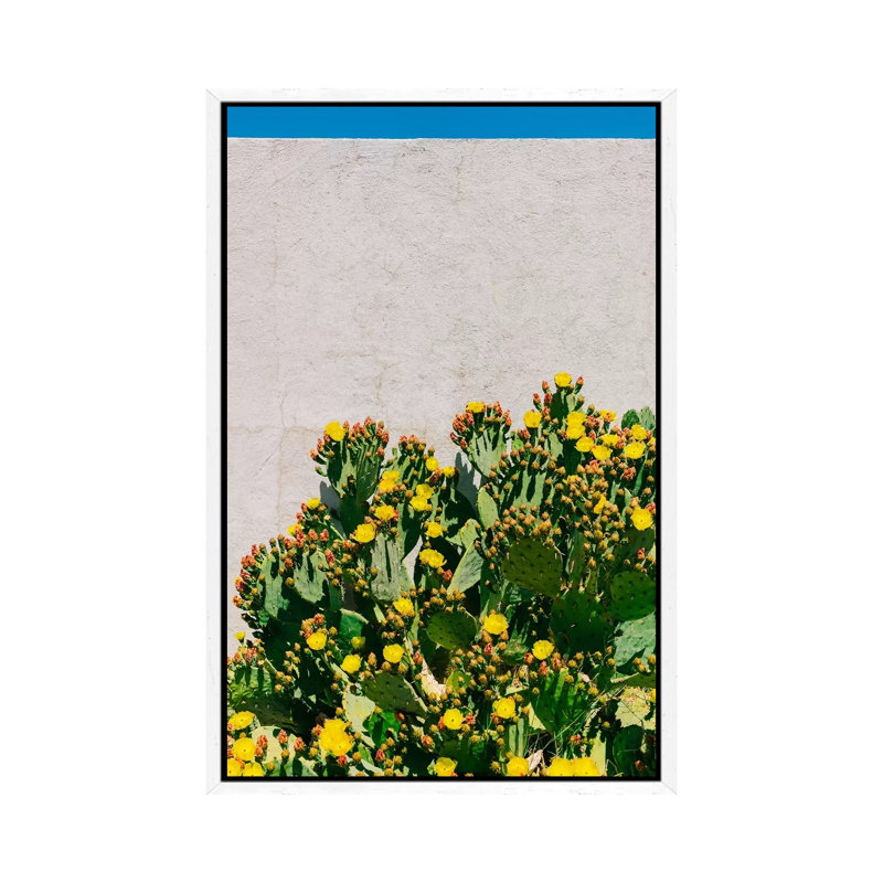 Cactus Blooms II by Bethany Young - Print on Canvas, 101.6cm H x 66.04cm W x 3.81cm D, White Framed