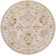 Finnlagh Oriental Indoor Rug