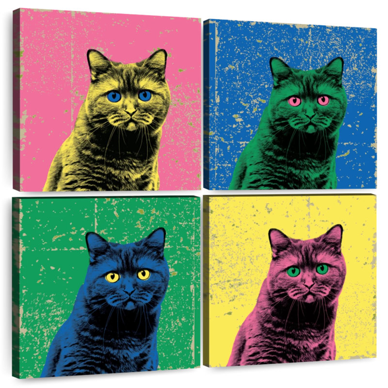 Brampt British Shorthair Pop