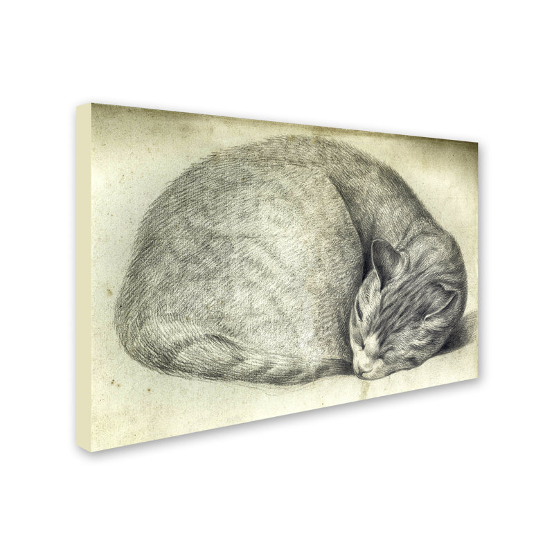 « sleeping cat », art mural sur toile tendue, H 12 po x l 19 po