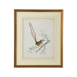 Delicate Birds I Print