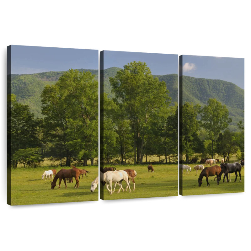 Brampt Cades Cove Horses, 42" H x 65" W