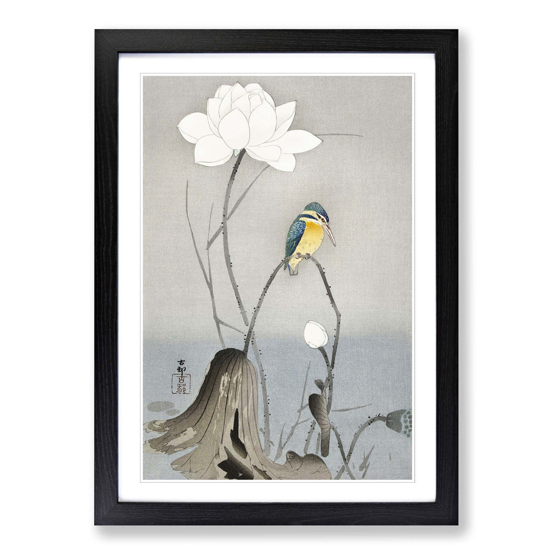 Kingfisher with Lotus Flower by Ohara Koson - Framed Print