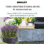 Garden Bowl Planter, Lightweight Ribbed Reinforced Stone Frostproof Outdoor Plant Pot, Planter with Drainage Holes, Bonsai Pot, Shallow Planter-39263429-39263431