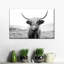 Drôle de vache Highland sur toile-419777073