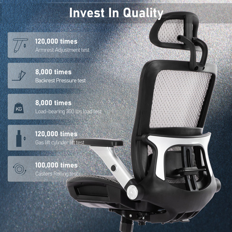 Jeel Ergonomic Mesh Office Chair,Executive High Back Computer Desk Chair with Footrest
