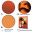 Palmier crépuscule tangerine coucher de soleil II-251912485-251912480