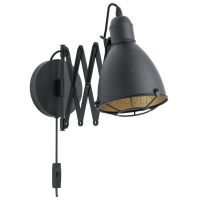 Dukes Steel Swing Arm Sconce