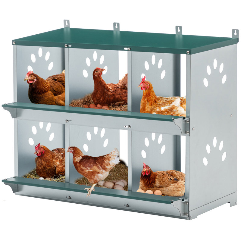 Boîte de nidification de poulet en métal 6 pièces, boîtes de nidification en acier galvanisé pour poules, assemblage facile