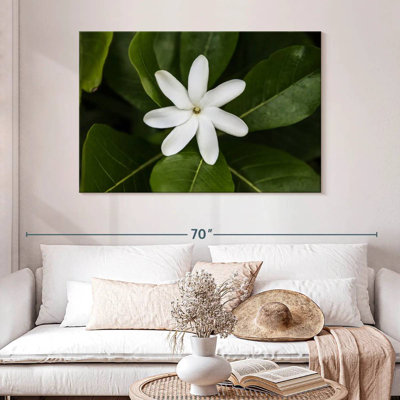 Harnek Fresh Jasmine Flower