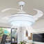 Borowski 42'' Ceiling Fan with LED Lights