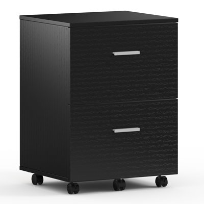 Demetres 2 Drawer Storage Drawer