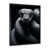 Cadre photo noir