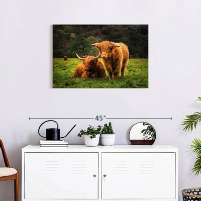 Brampt Highland Cow Friends