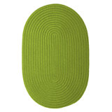 Shepler Braided Light Green Rug