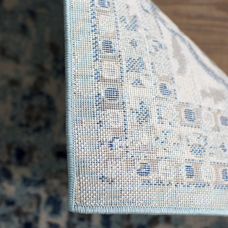 Boykins Oriental Area Rug, Runner 77 x 244cm