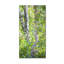 "Hide and Seek" par Mandy Budan, reproduction d'art sur toile tendue-14743348