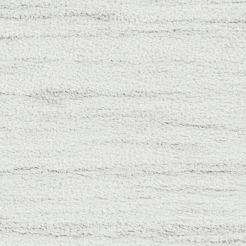 Lizan Shag Area Rug, Rectangle 200cm x 275cm