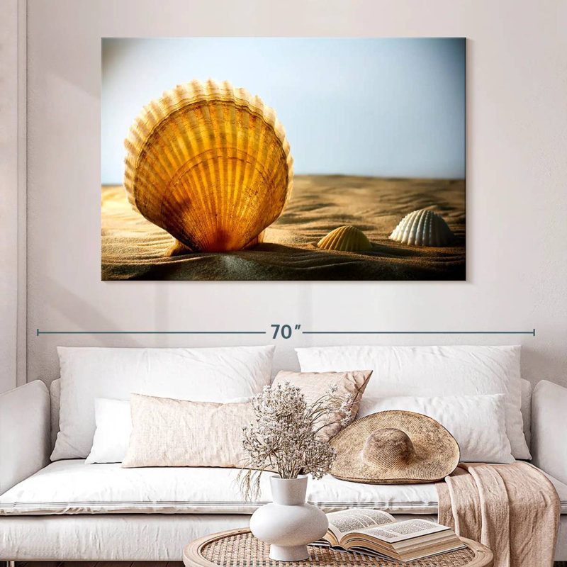 Coquillages de sable Aletra, H 34 po x l 51 po