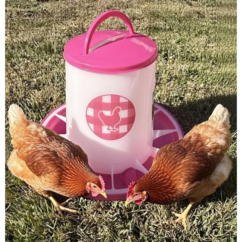 Mangeoire à poulet 13 lb - Fuchsia, 13 gallons, Rose