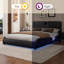 Luxurious Faux Leather Upholstered Platform Bed With Thickened Headboard, Bluetooth Speakers And RGB LED Light, No Box Spring Needed-863643138-863643143