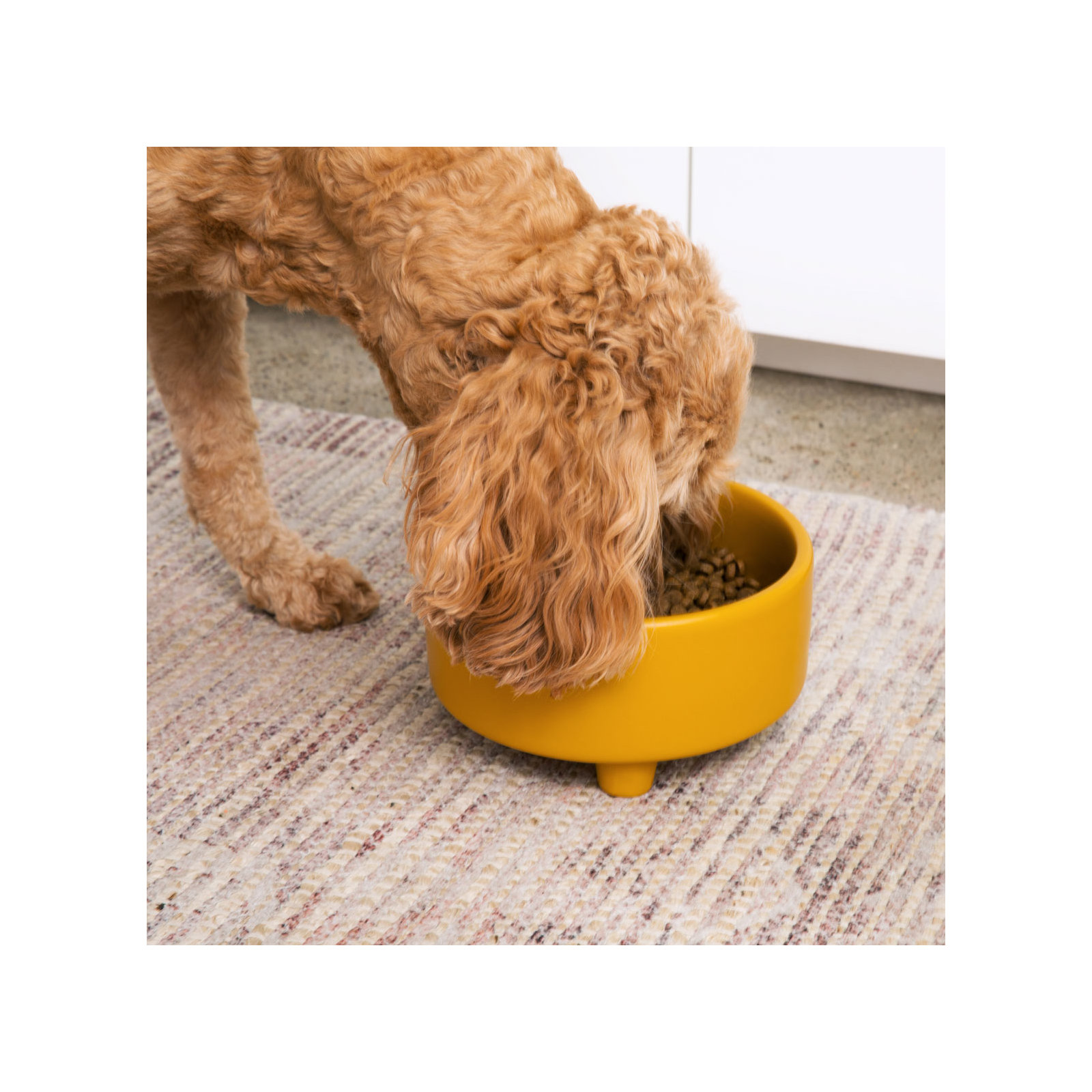 Uplift Ceramic Dog Bowl, Black, Small (2 cups / 16 fluid oz)