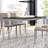 Alagan Glass Top Metal Base Dining Table