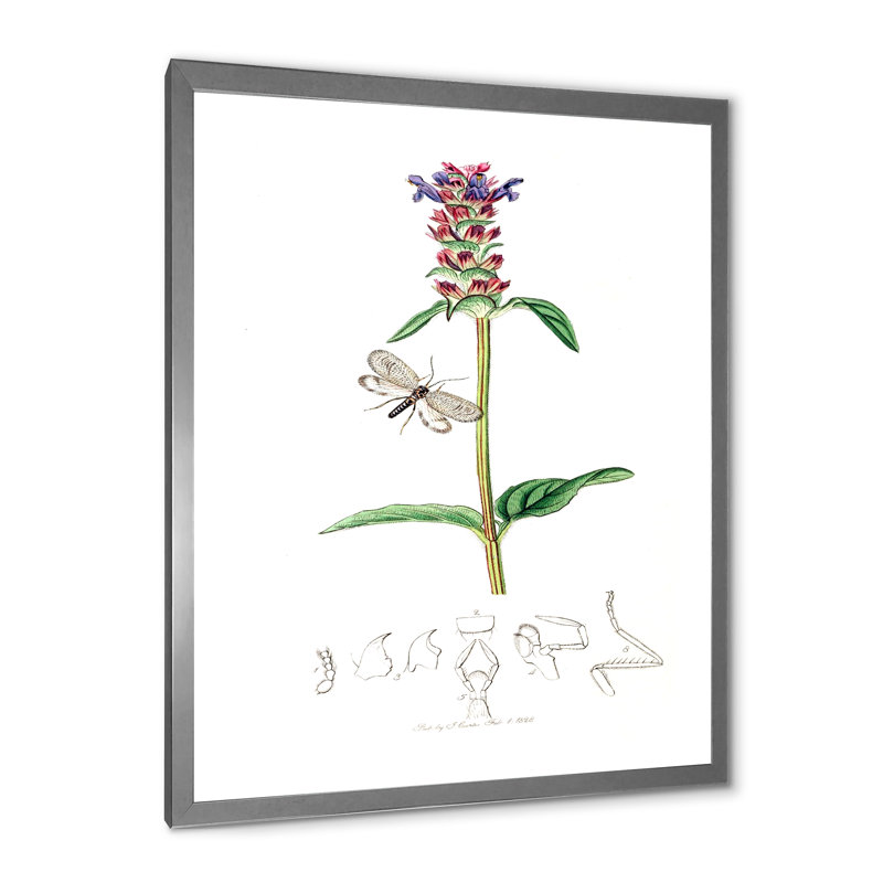 Insectes et plantes rétro II - peinture sur toile, H 40 po x l 30 po x 1,5 po, Cadre photo argenté