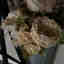 Customer photo 2 of 2