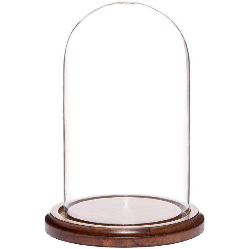 Cloche en verre 4 "x 7" Jenett, Base en bois aggloméré noyer