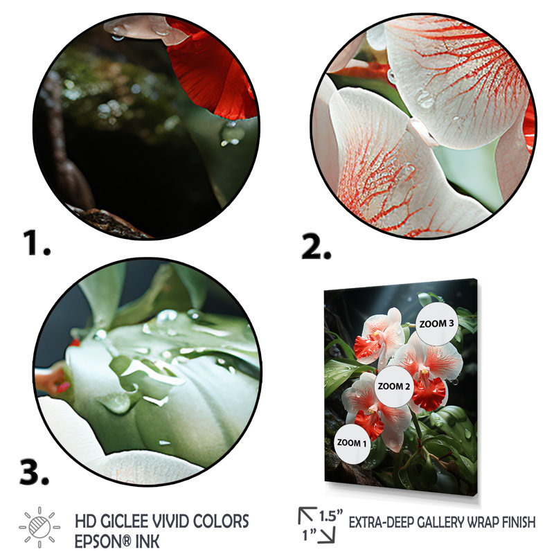 Corail tranquille et orchidées blanches - orchidées murales, Cadre flottant blanc, H 40 po x l 30 po x P 1,5 po