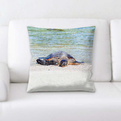 Layton Turtle Square Pillow Cover & Insert