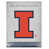 Fighting Illini de l'Illinois