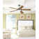 Celano 52'' Ceiling Fan with LED Lights