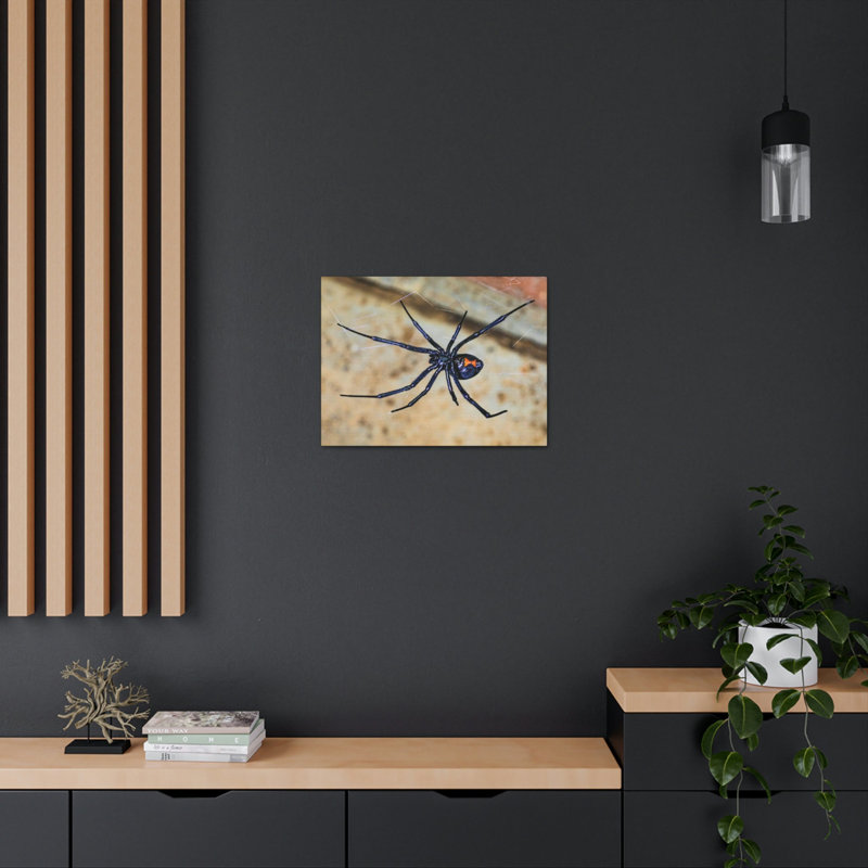 «Black Widow H chasse», art mural animal, H 12 po x l 18 po