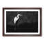 Stork Bird - Picture Frame Graphic Art Print-56706112-56706111